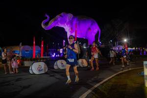 BIB: 
                            <button type="button" onclick="openModal(26552199)" class="btn btn-primary btn-sm float-right btn-popup" data-toggle="modal" data-target=".modal-high-quality">
                        <i class="fas fa-shopping-cart"></i> Add to Cart
                    </button>
                                            <button type="button" onclick="isThisMe(26552199, true)" class="btn btn-success btn-sm float-right btn-popup btn-isme hidden" data-toggle="tooltip" data-placement="bottom" title="นี่คือรูปของคุณใช่ไหม คลิกที่นี่เพื่อเอาเข้าอัลบั้ม">
                        <i class="fas fa-plus"></i> Add to album
                    </button>
                    <button type="button" onclick="isThisMe(26552199, false)" class="btn btn-warning btn-sm float-right btn-popup btn-isnotme hidden">
                        <i class="fas fa-ban"></i> Remove from album
                    </button>